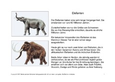 Fehlerlesen-Elefanten-Lesetext-1-6.pdf